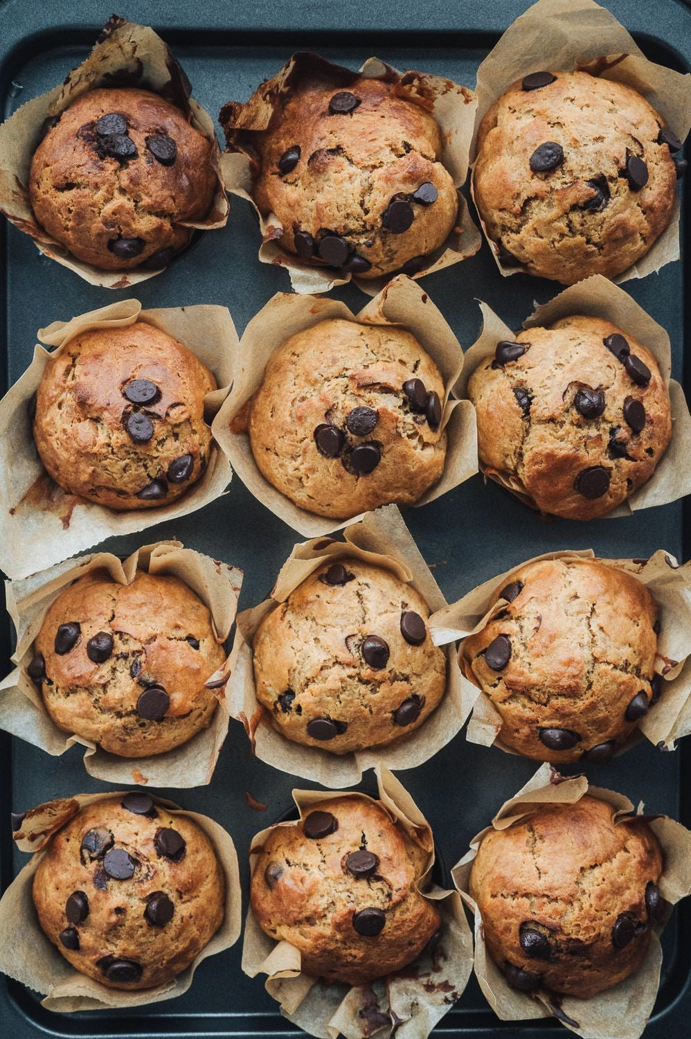 Muffins Chocolate Chips